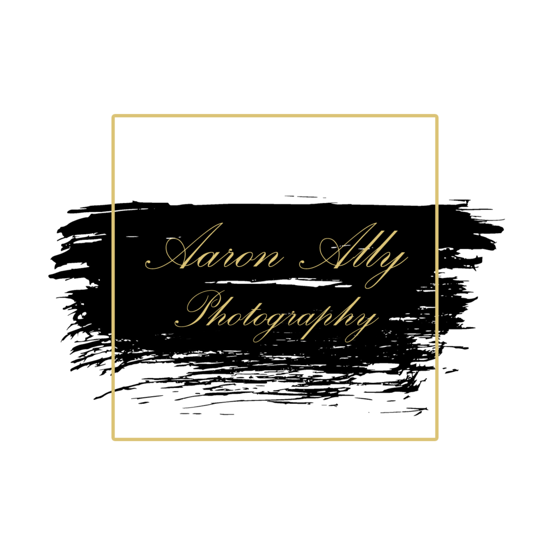 Aaron Ally Photography Logo - 2 (bcf2ef11-ddcd-4b5c-9c9c-38062429928c)